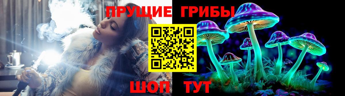 Псилоцибиновые грибы MAGIC MUSHROOMS  Галлюциногенные грибы Cubensis  Набережные Челны  Вход с VPN 
